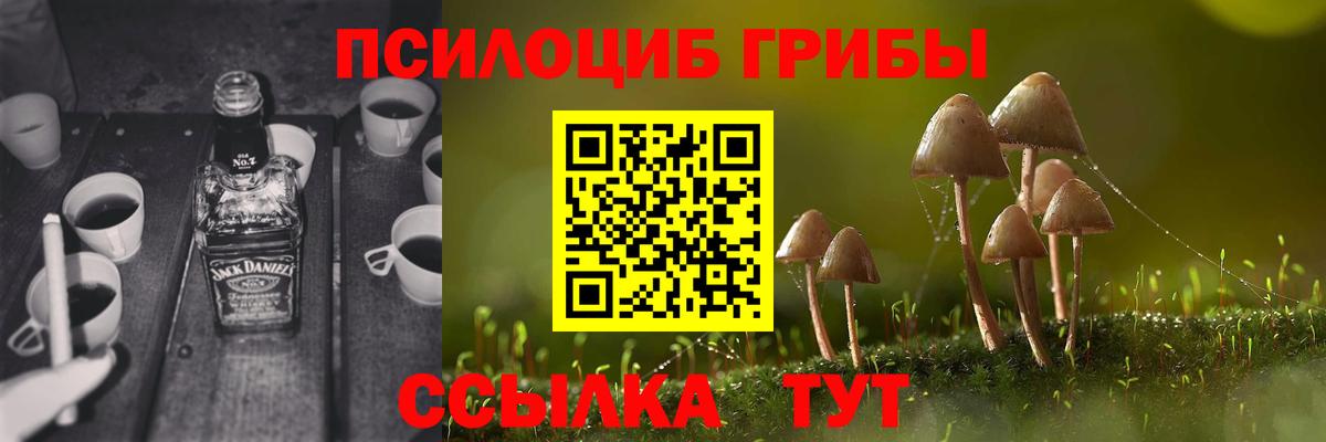 Зеленогорск  Псилоцибиновые грибы прущие грибы  Вход с VPN 